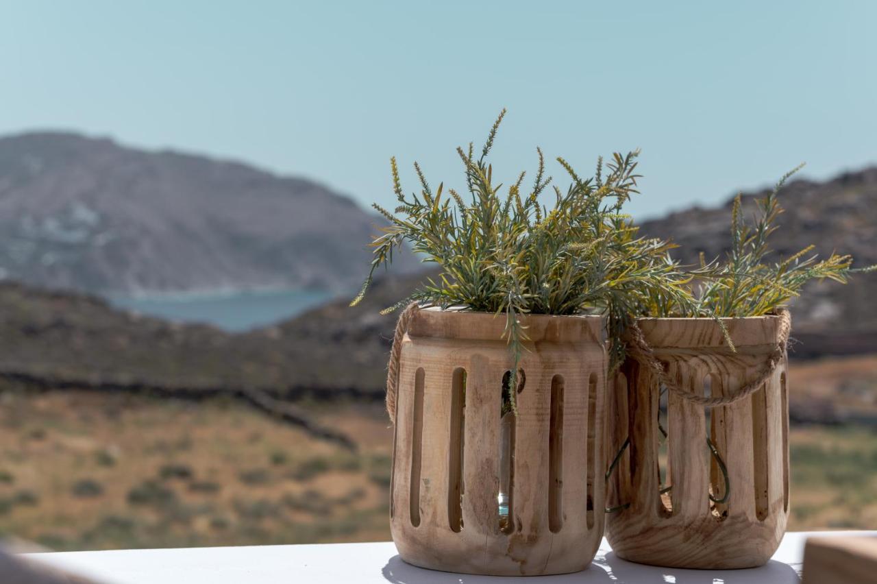 Anemela Villas & Suites Mykonos Agrari  المظهر الخارجي الصورة