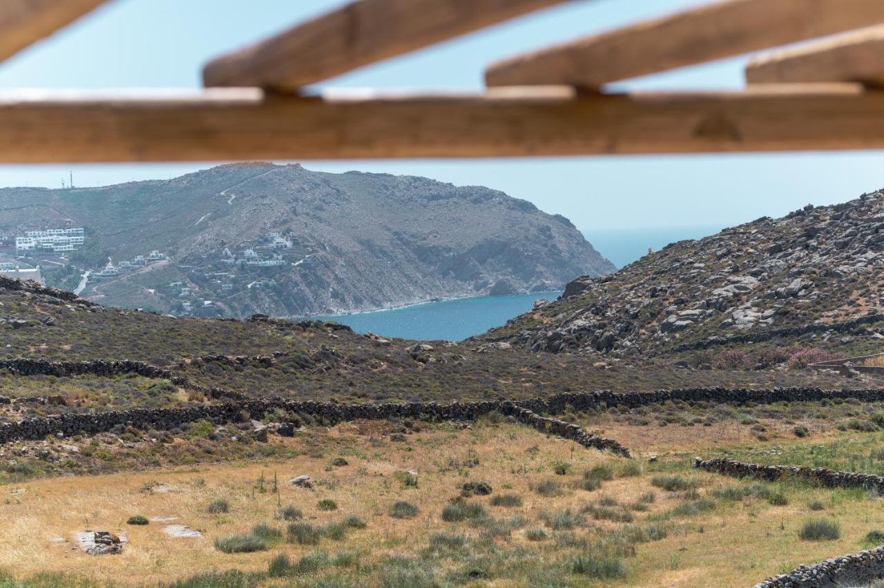Anemela Villas & Suites Mykonos Agrari  المظهر الخارجي الصورة